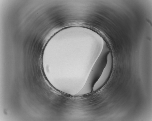 X0000099961432200806131500