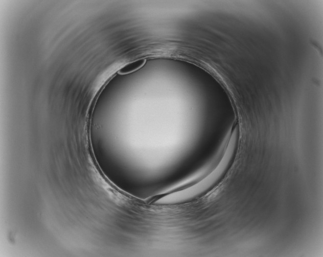 X0000099961434200806131500