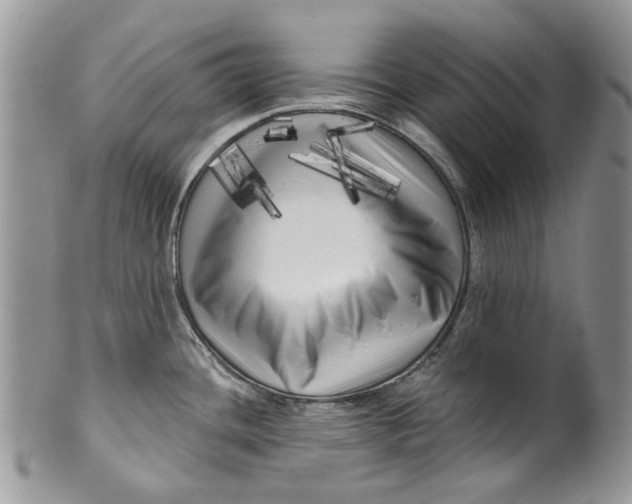 X0000099961436200806131500