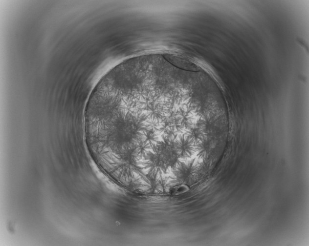 X0000099961439200806131500