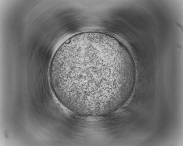 X0000099961440200806131500