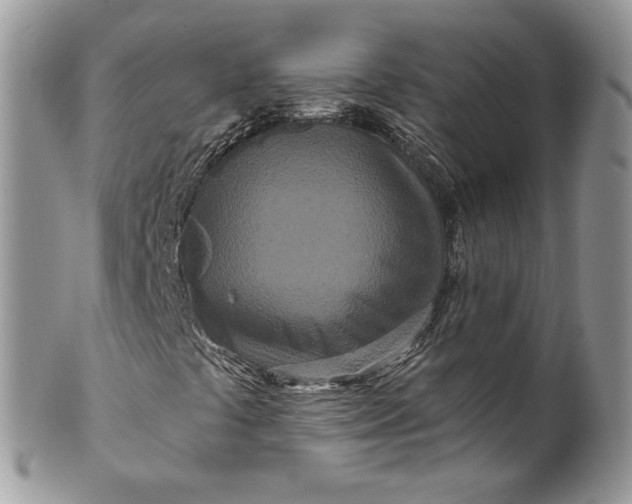 X0000099961441200806131459
