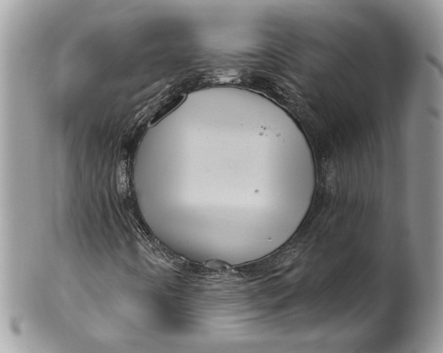 X0000099961442200806131459