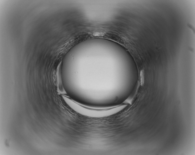 X0000099961443200806131459