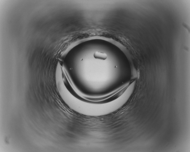 X0000099961444200806131459