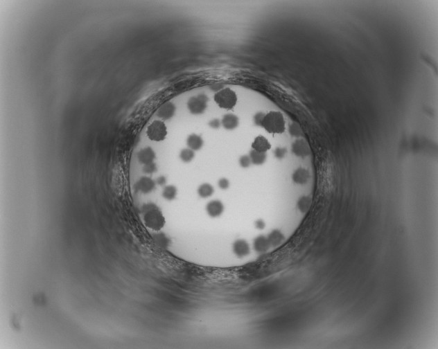 X0000099961446200806131459