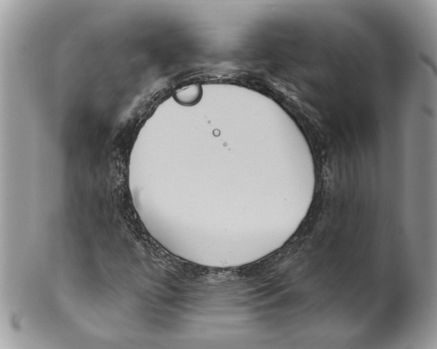 X0000099961447200806131459