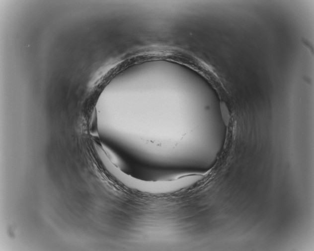 X0000099961448200806131459
