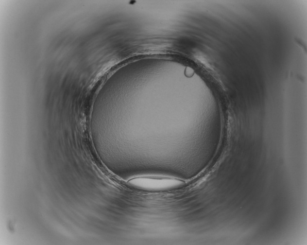 X0000099961449200806131459