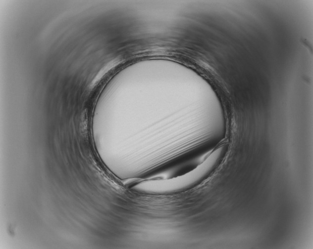 X0000099961450200806131459