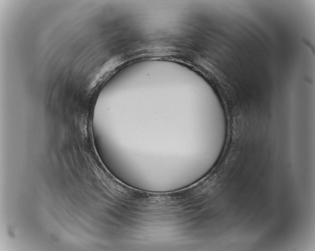 X0000099961451200806131459