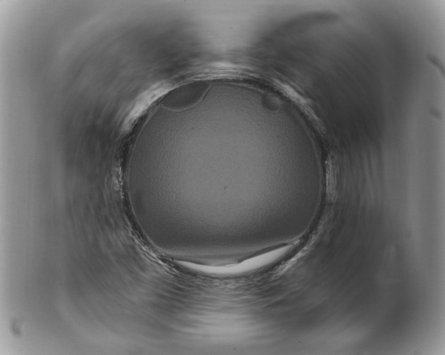X0000099961453200806131459