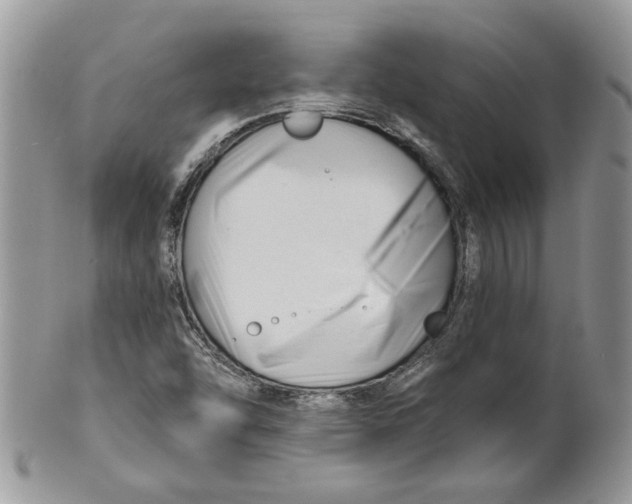 X0000099961454200806131459