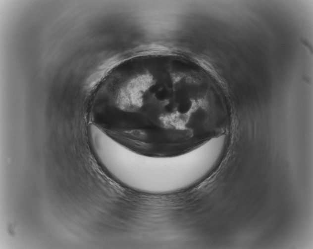 X0000099961455200806131459