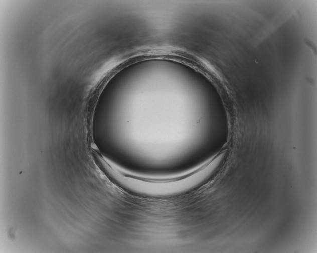X0000099961456200806131459
