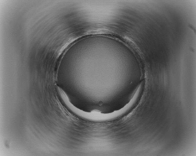 X0000099961457200806131459