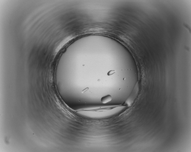 X0000099961458200806131459