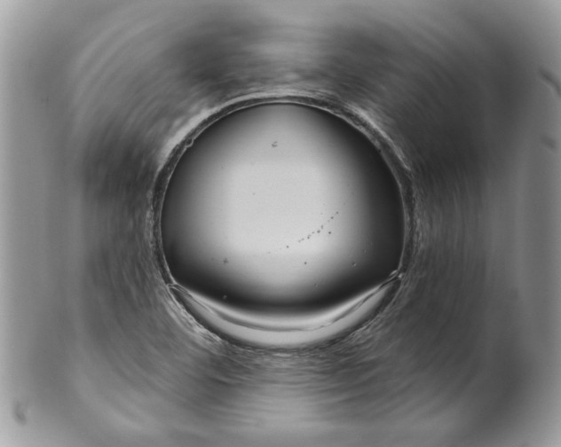 X0000099961460200806131459