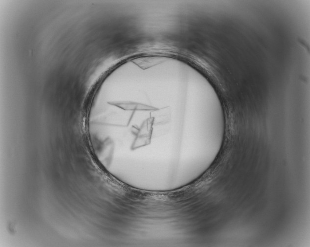 X0000099961462200806131459