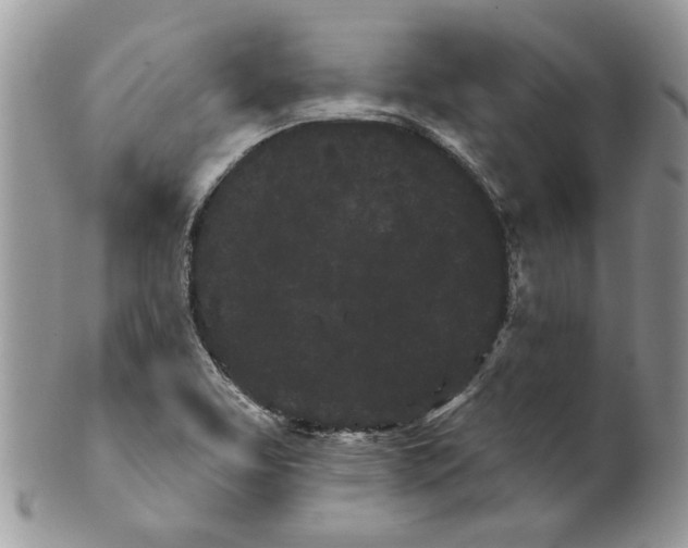X0000099961463200806131459