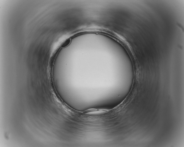 X0000099961464200806131459