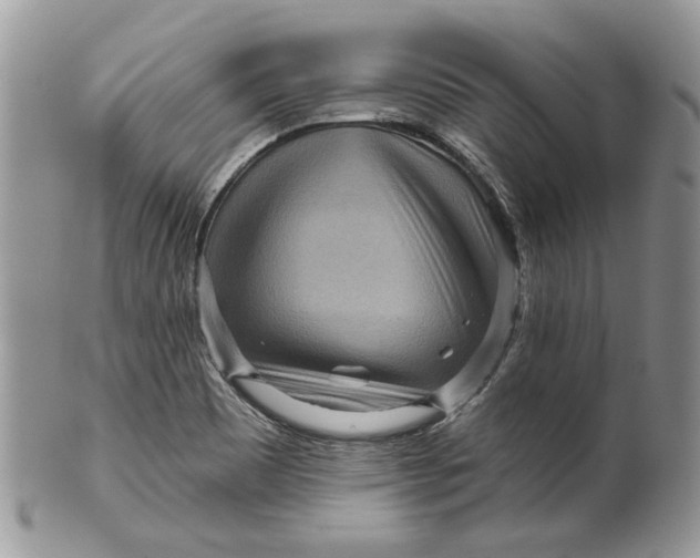 X0000099961465200806131459
