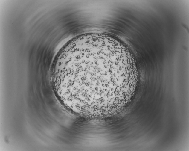 X0000099961466200806131459