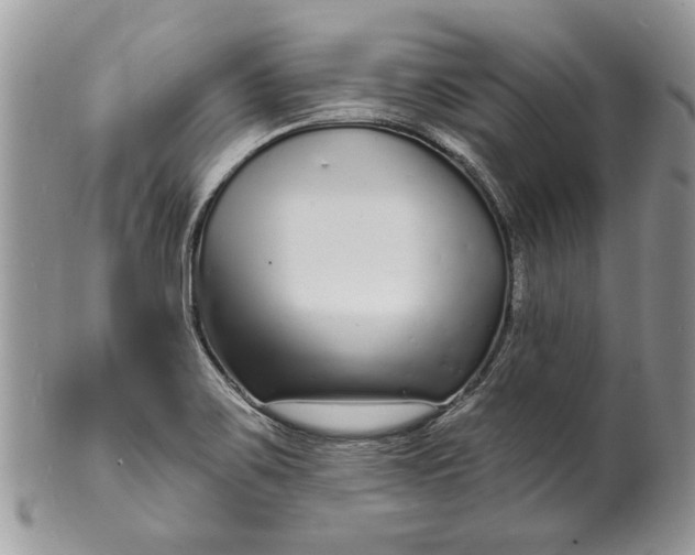 X0000099961467200806131459