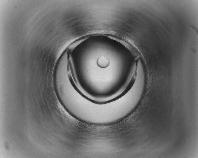X0000099961468200806131459