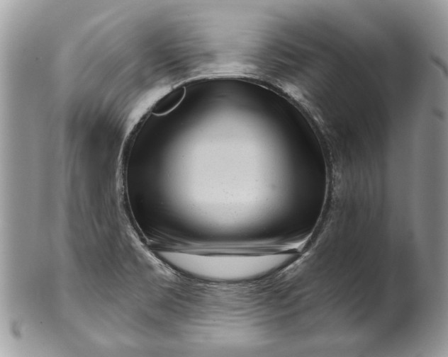 X0000099961469200806131459