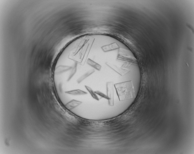 X0000099961470200806131459