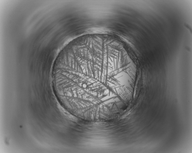 X0000099961471200806131459