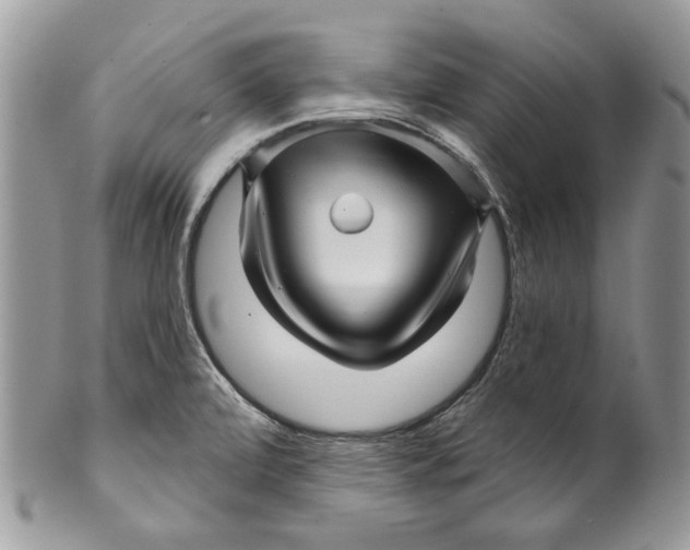 X0000099961472200806131459