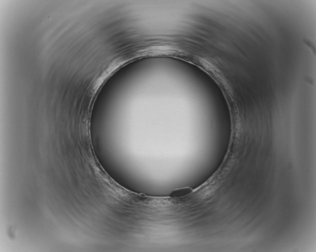 X0000099961473200806131459