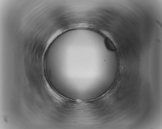 X0000099961475200806131459