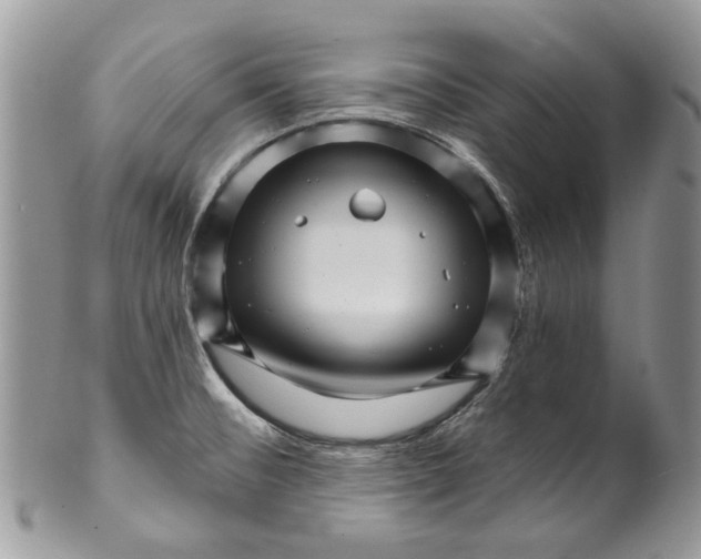 X0000099961476200806131458