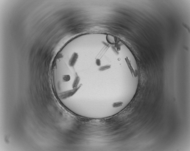 X0000099961478200806131458