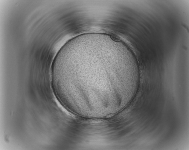 X0000099961479200806131458