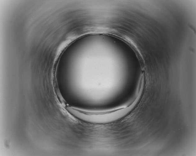 X0000099961480200806131458