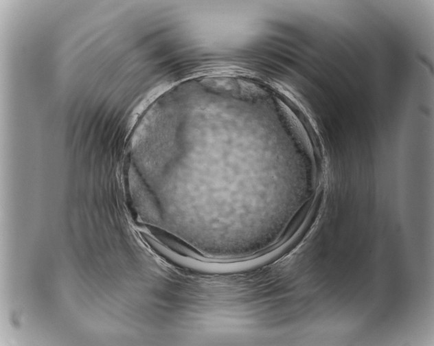 X0000099961481200806131458