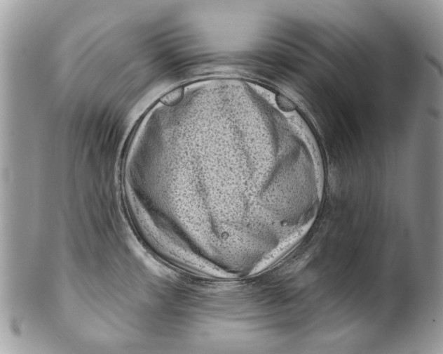 X0000099961482200806131458