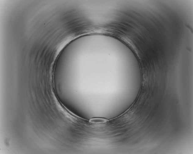 X0000099961483200806131458
