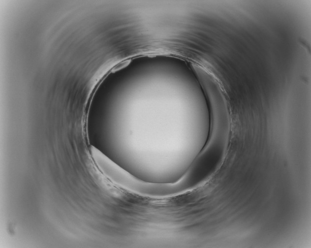 X0000099961484200806131458