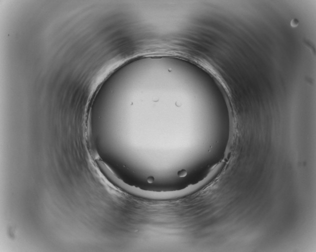 X0000099961485200806131458