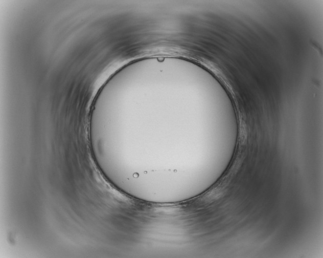 X0000099961486200806131458