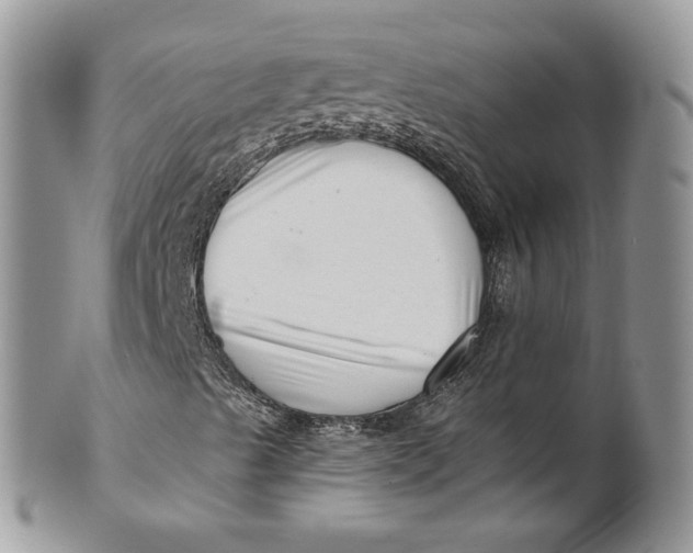 X0000099961489200806131458