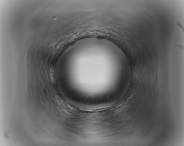 X0000099961490200806131458