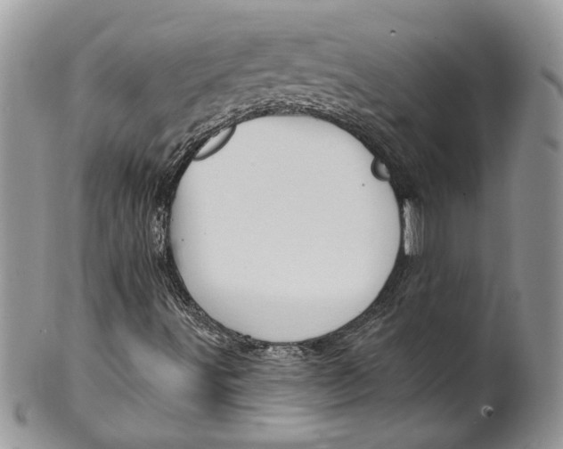 X0000099961491200806131458