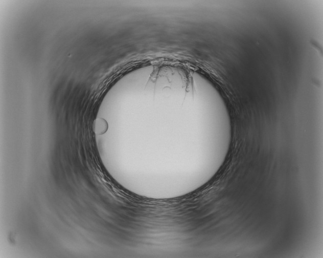 X0000099961492200806131458
