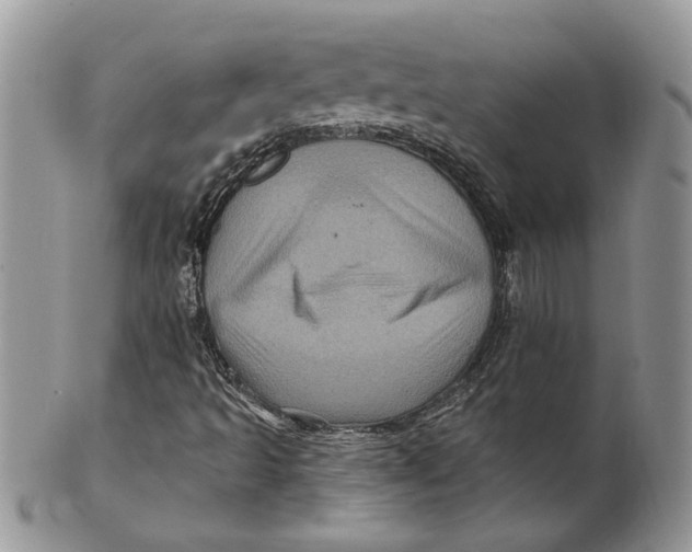 X0000099961493200806131458